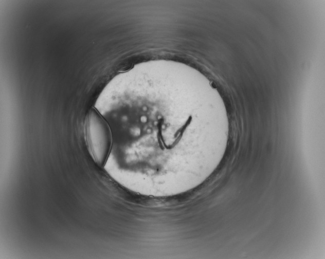 X0000115100613200911241235