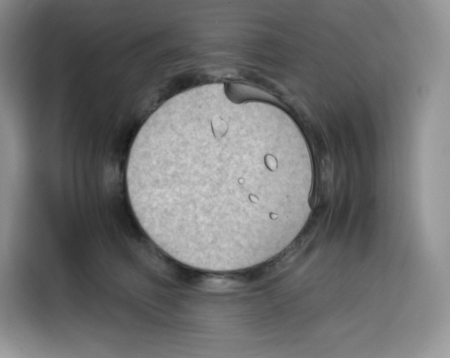 X0000115100614200911241235