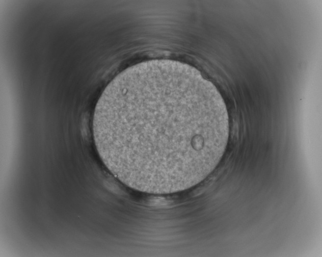 X0000115100616200911241235