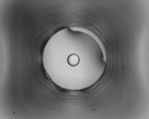 X0000115100617200911241235