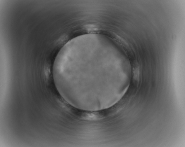 X0000115100618200911241235