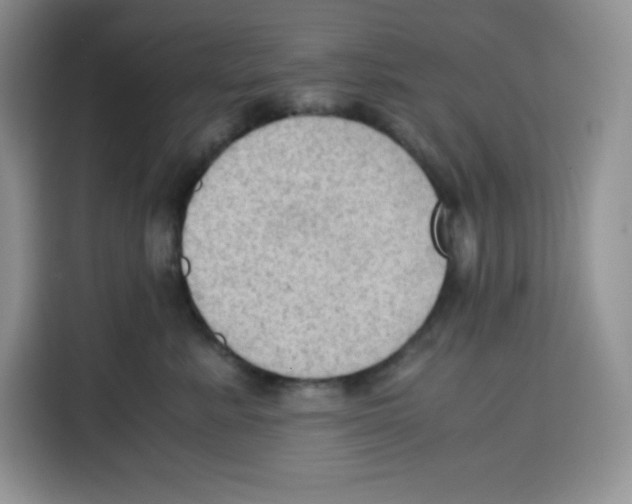 X0000115100619200911241235