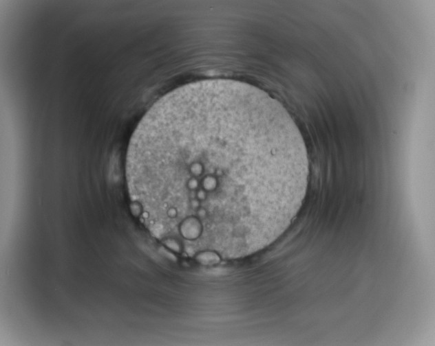 X0000115100620200911241235