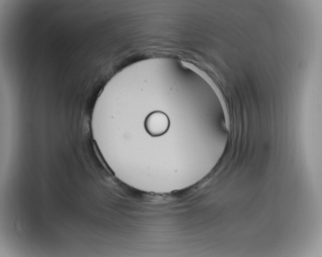 X0000115100621200911241235