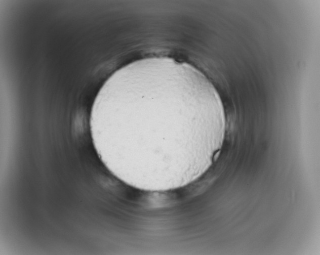 X0000115100623200911241235