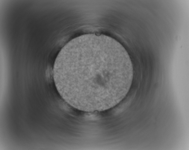 X0000115100624200911241235