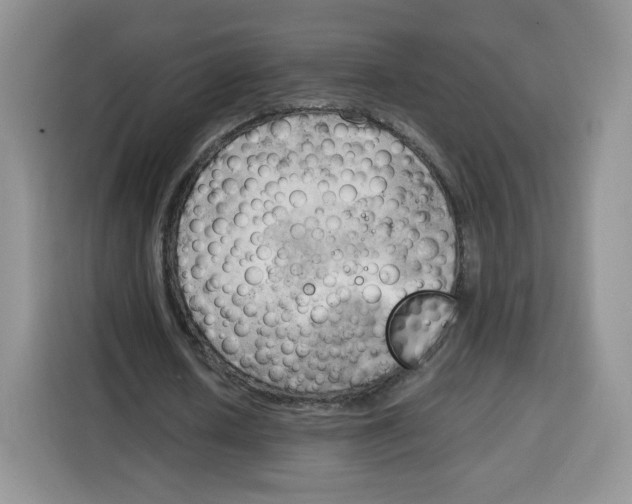 X0000115100626200911241234