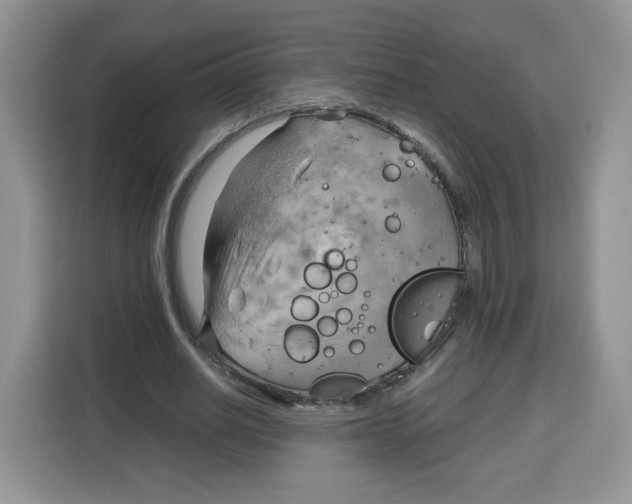 X0000115100630200911241234