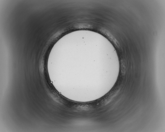 X0000115100631200911241234