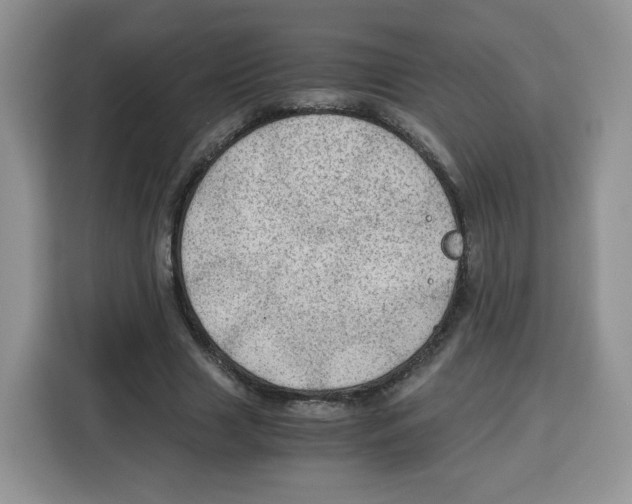 X0000115100633200911241234