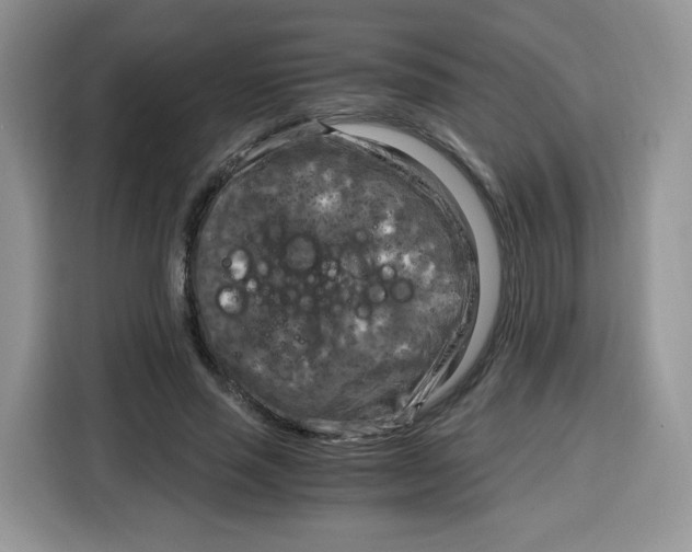 X0000115100637200911241234