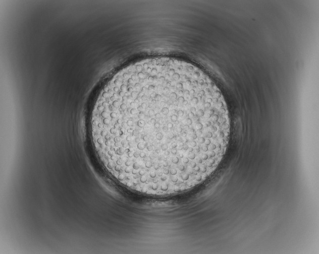 X0000115100638200911241234