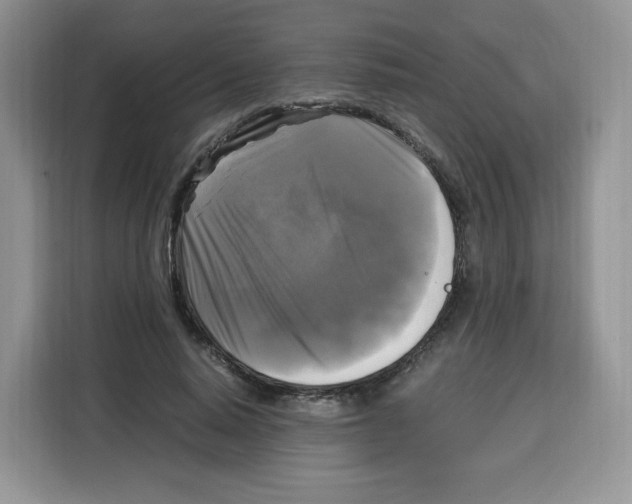 X0000115100640200911241234