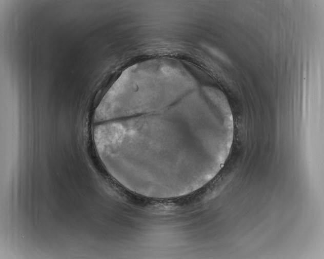 X0000115100642200911241234