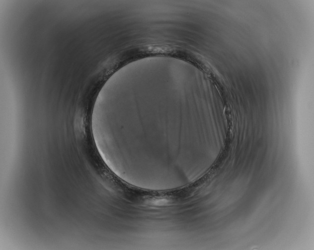 X0000115100643200911241234