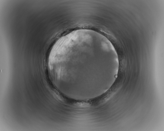 X0000115100644200911241234