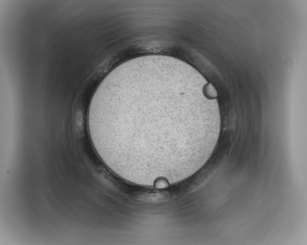 X0000115100646200911241234