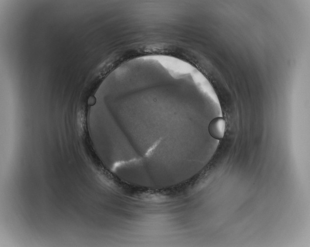 X0000115100648200911241234