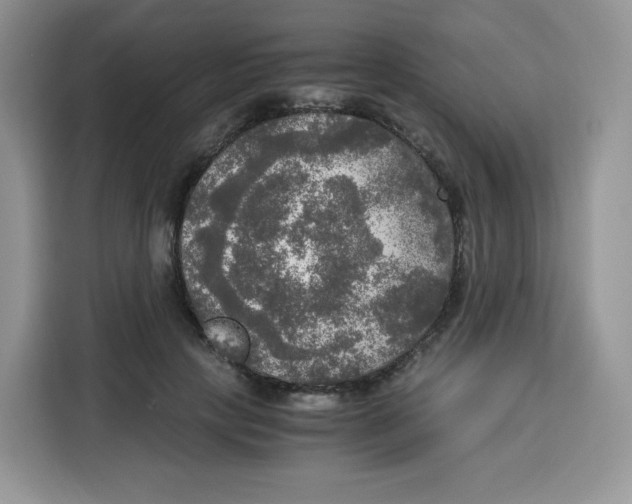 X0000115100649200911241234