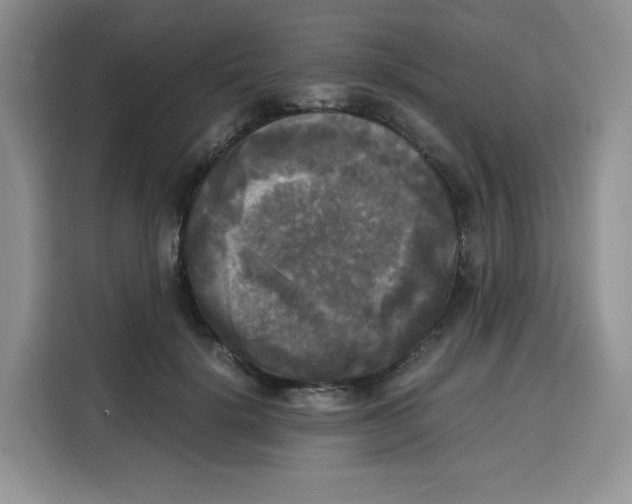 X0000115100652200911241234