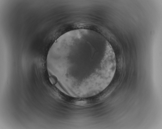 X0000115100653200911241234