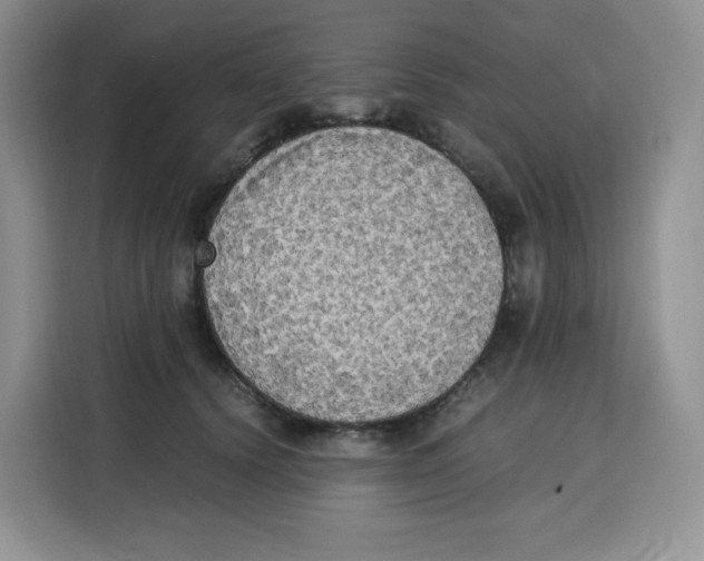 X0000115100656200911241234