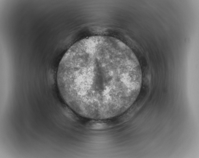 X0000115100658200911241234