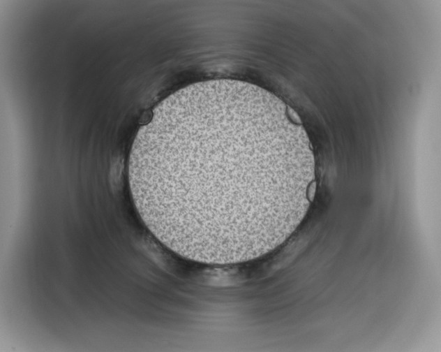 X0000115100660200911241234