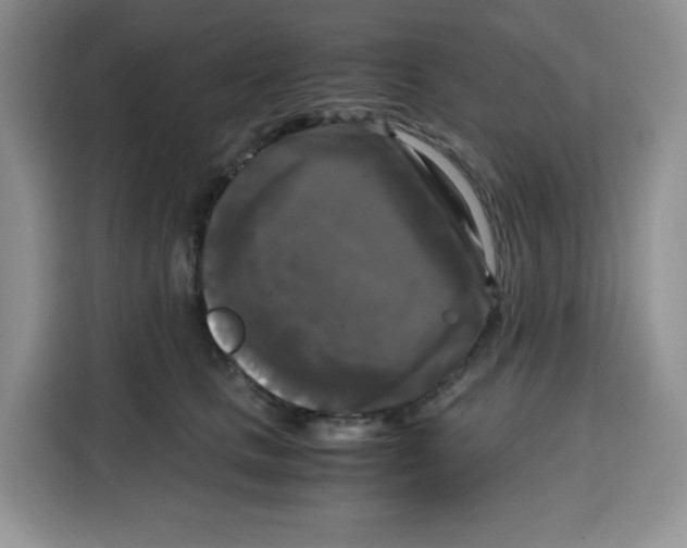 X0000115100661200911241234