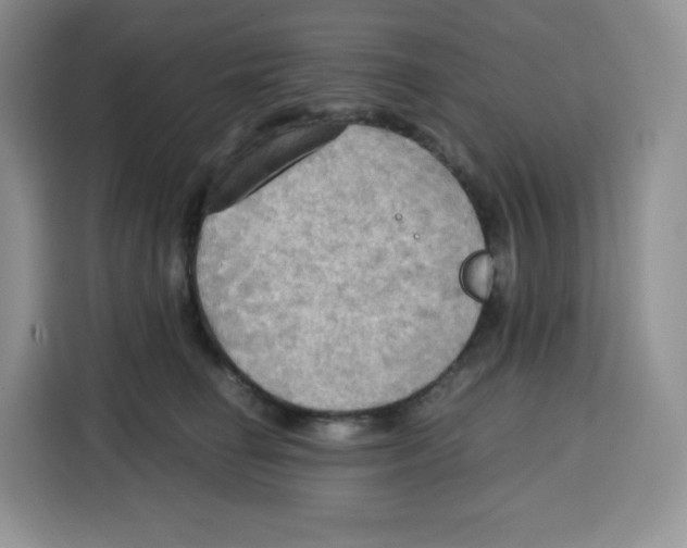 X0000115100662200911241234