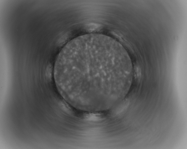 X0000115100664200911241235