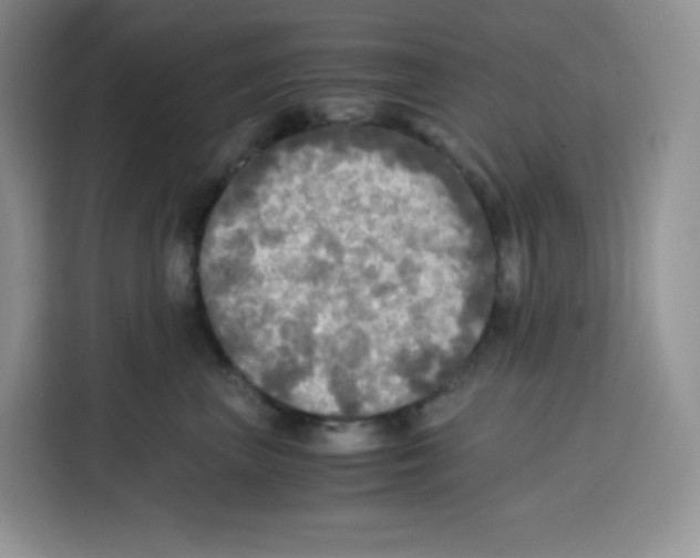 X0000115100667200911241235