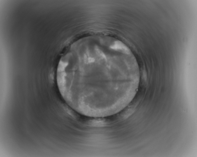 X0000115100668200911241235