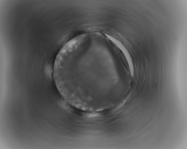 X0000115100669200911241235