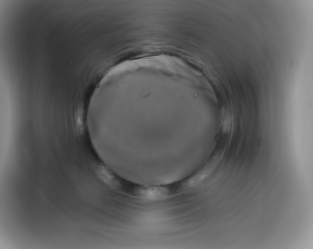 X0000115100670200911241235