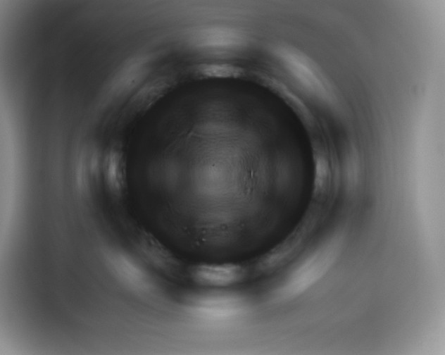 X0000115100671200911241235