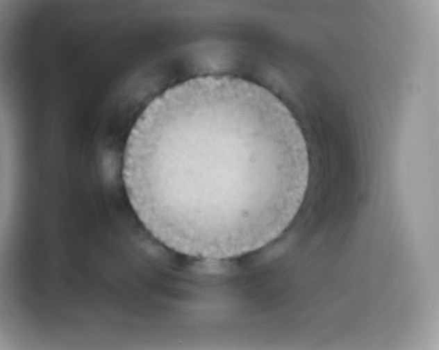 X0000115100672200911241235