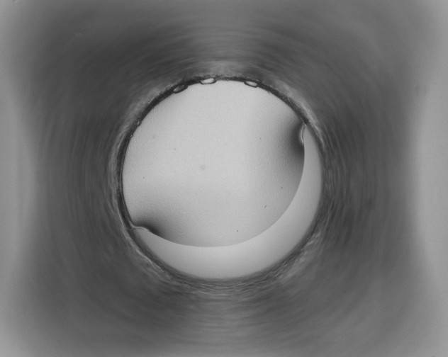 X0000115100673200911241234