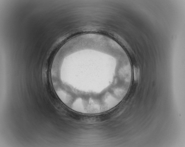 X0000115100675200911241234