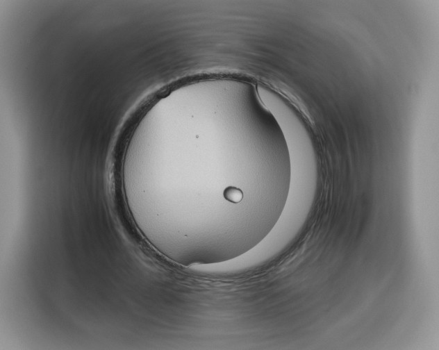 X0000115100676200911241234