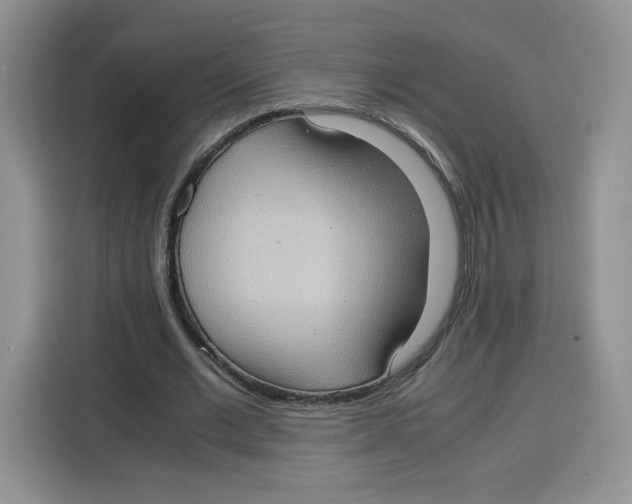 X0000115100677200911241234