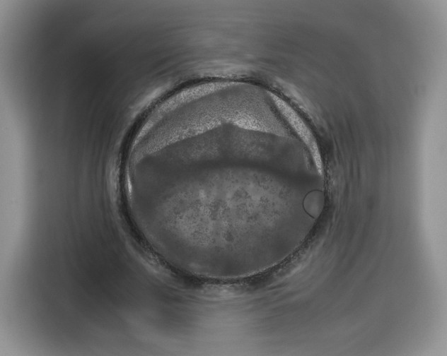 X0000115100679200911241234