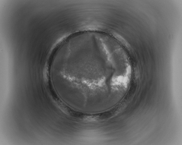 X0000115100680200911241234