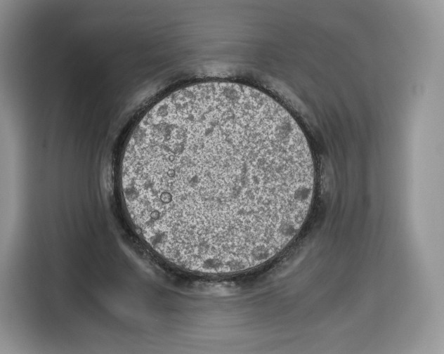 X0000115100683200911241234