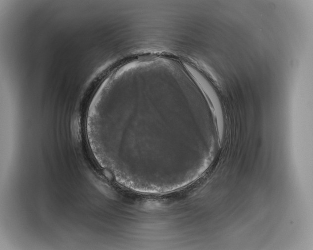 X0000115100684200911241234