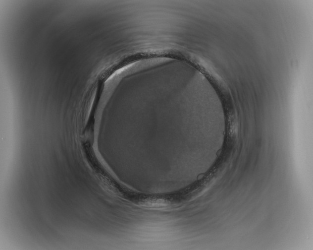 X0000115100685200911241234