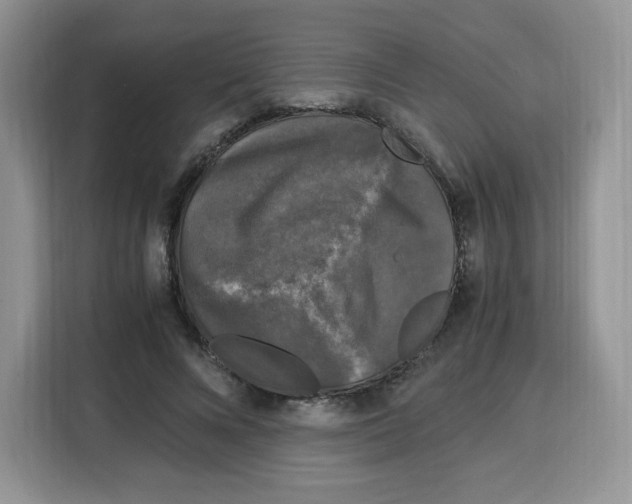 X0000115100688200911241234