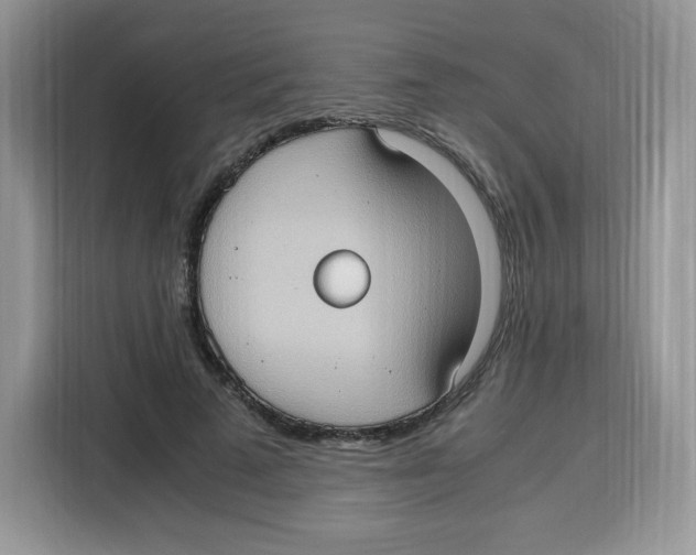 X0000115100689200911241234