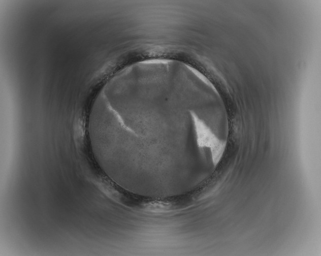 X0000115100691200911241234