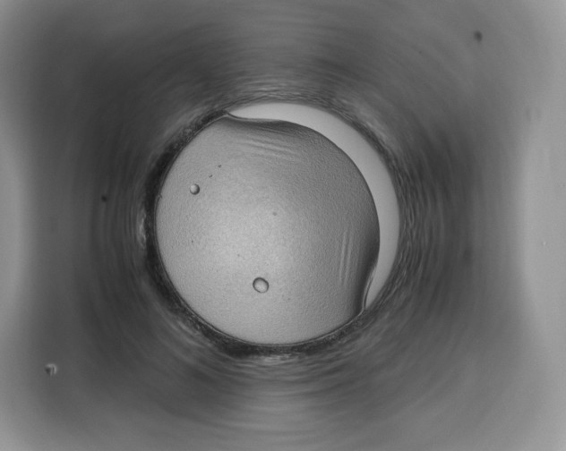 X0000115100692200911241234